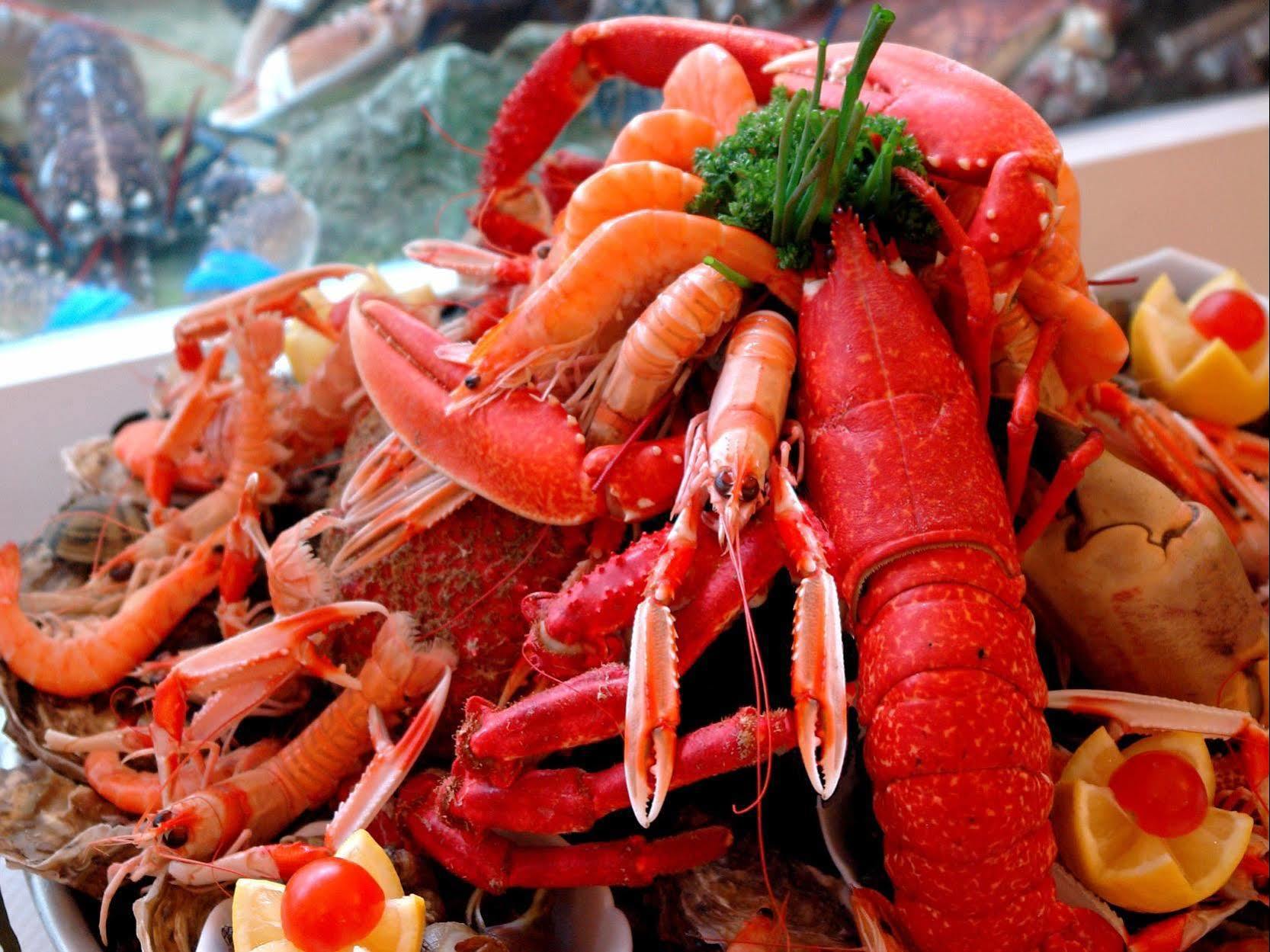 Logis Hotel Les Chardons Bleus Restaurant Le Bistrot De La Mer ロスコフ エクステリア 写真
